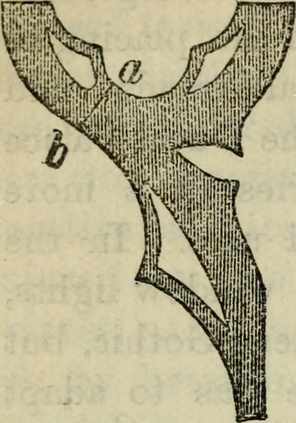 An illustration from The stones of Venice, 1890, leaf 747