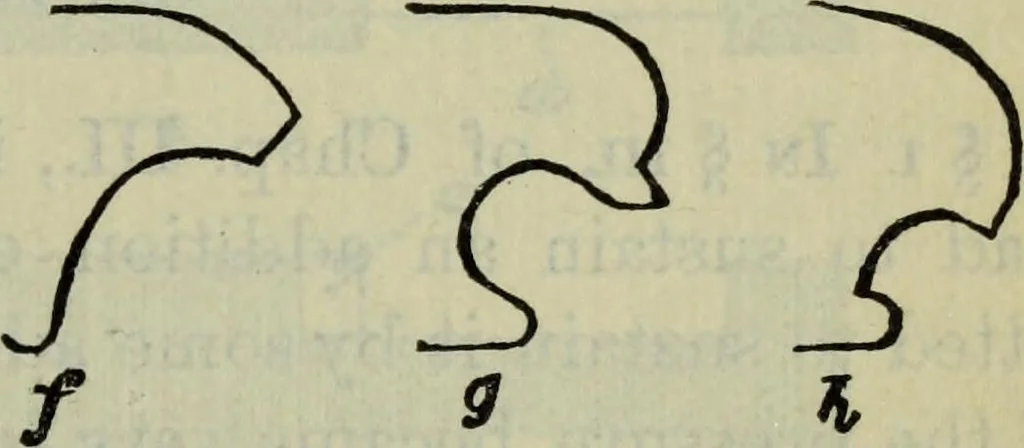 An illustration from The stones of Venice, 1890, leaf 92