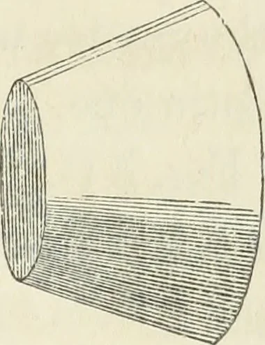 An illustration from The stones of Venice, 1851, leaf 128
