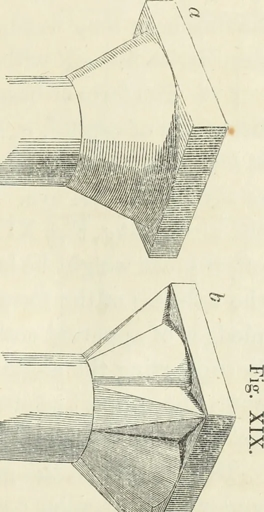 An illustration from The stones of Venice, 1851, leaf 128