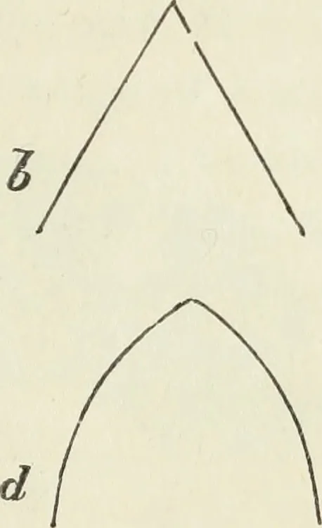 An illustration from The stones of Venice, 1851, leaf 150
