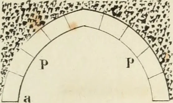 An illustration from The stones of Venice, 1851, leaf 158