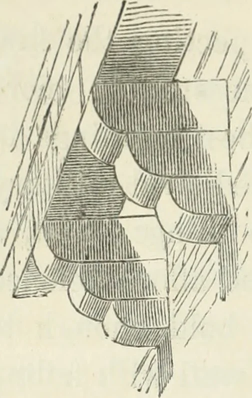 An illustration from The stones of Venice, 1851, leaf 189