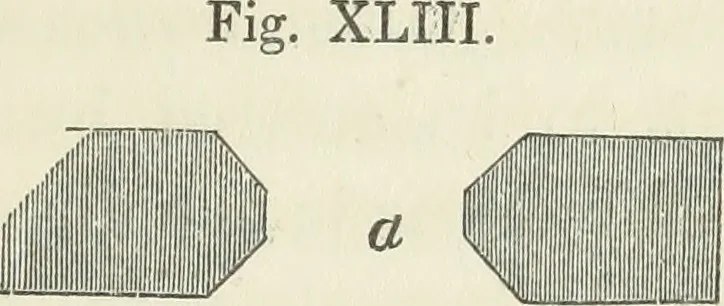 An illustration from The stones of Venice, 1851, leaf 204