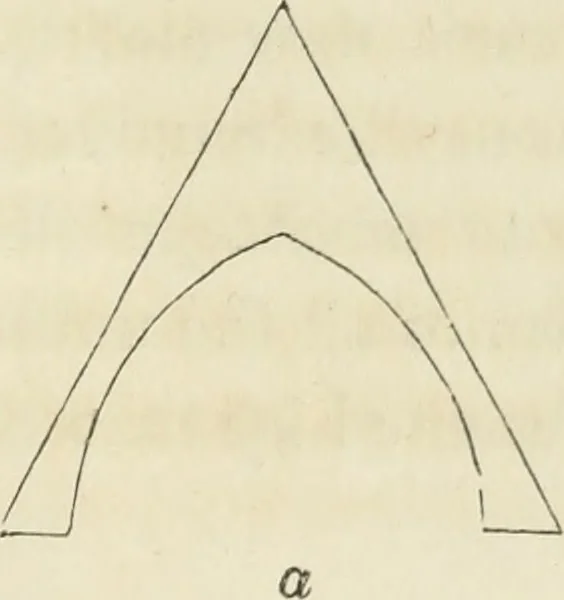 An illustration from The stones of Venice, 1851, leaf 226