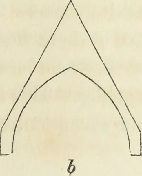 An illustration from The stones of Venice, 1851, leaf 226