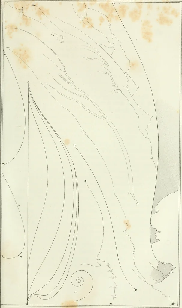 An illustration from The stones of Venice, 1851, leaf 254