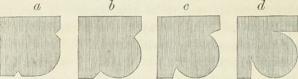 An illustration from The stones of Venice, 1851, leaf 299