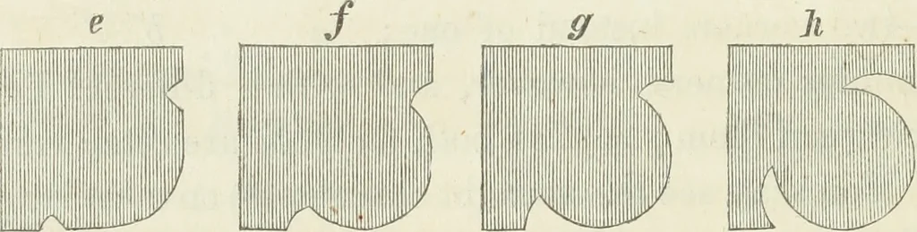 An illustration from The stones of Venice, 1851, leaf 299
