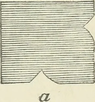 An illustration from The stones of Venice, 1851, leaf 300