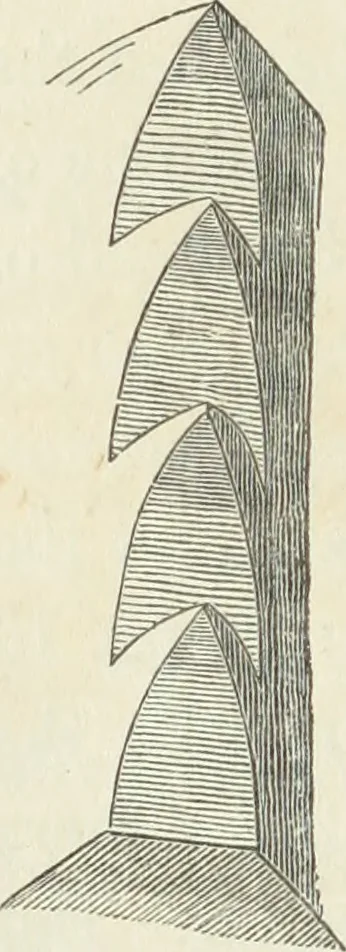 An illustration from The stones of Venice, 1851, leaf 309