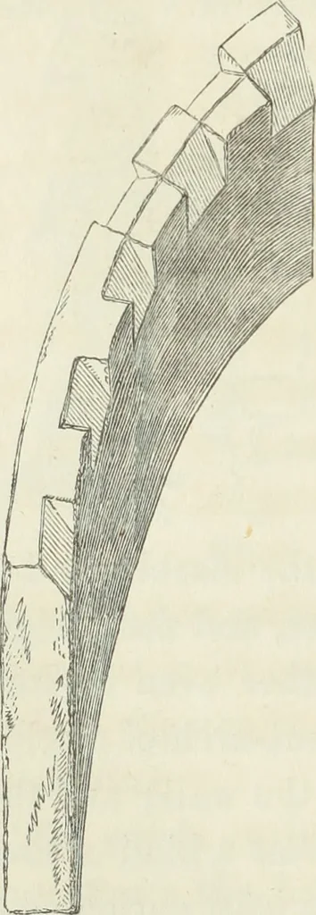 An illustration from The stones of Venice, 1851, leaf 311