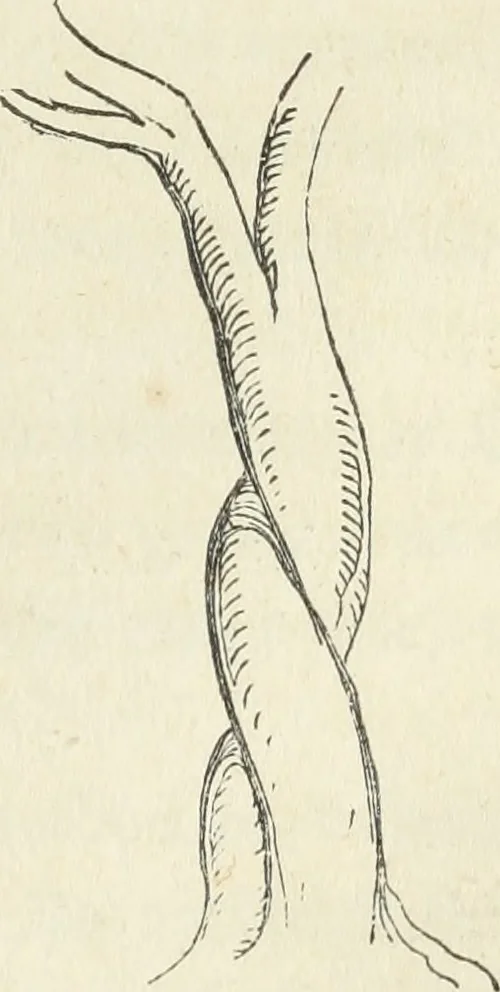 An illustration from The stones of Venice, 1851, leaf 352