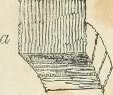 An illustration from The stones of Venice, 1851, leaf 393