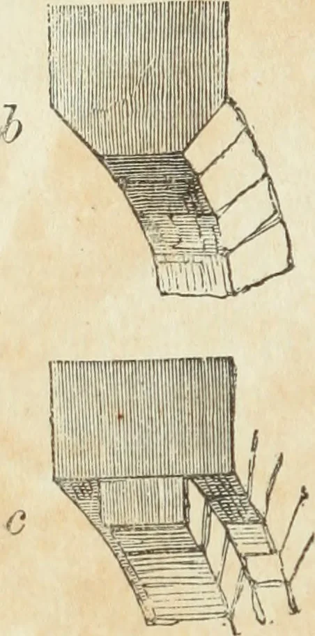 An illustration from The stones of Venice, 1851, leaf 393