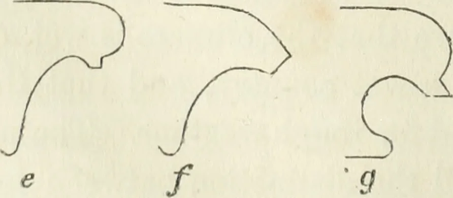 An illustration from The stones of Venice, 1851, leaf 89