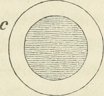 An illustration from The stones of Venice, 1851, leaf 98