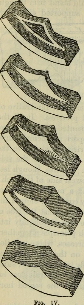 An illustration from The stones of Venice, 1890, leaf 289