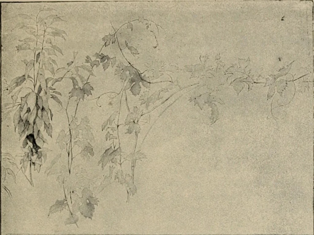 An illustration from The stones of Venice : v.2, the sea-stories, 1853, leaf 116