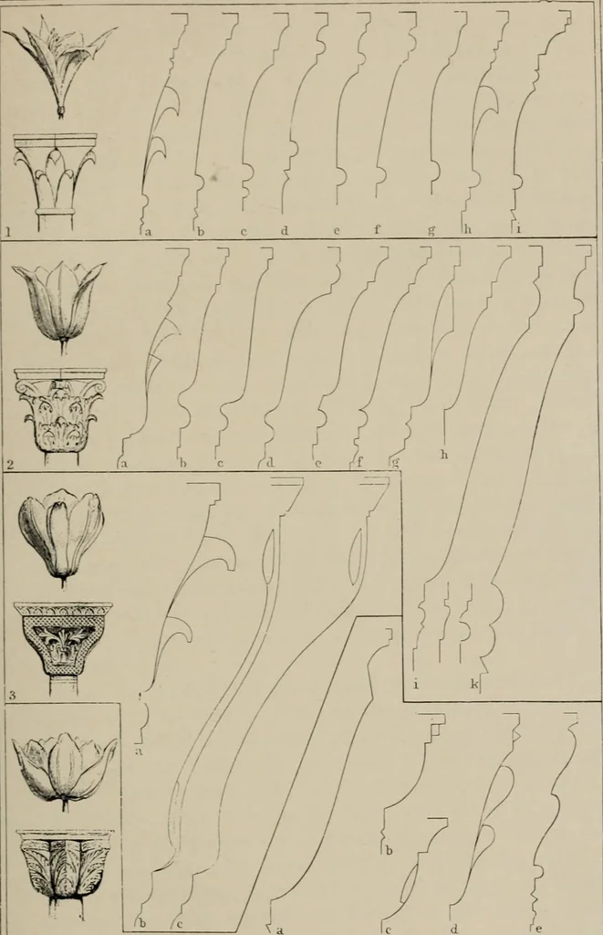An illustration from The stones of Venice : v.2, the sea-stories, 1853, leaf 164
