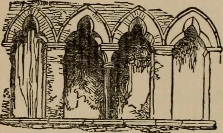 An illustration from The stones of Venice : v.2, the sea-stories, 1853, leaf 295