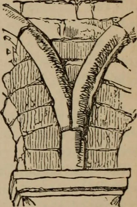 An illustration from The stones of Venice : v.2, the sea-stories, 1853, leaf 295