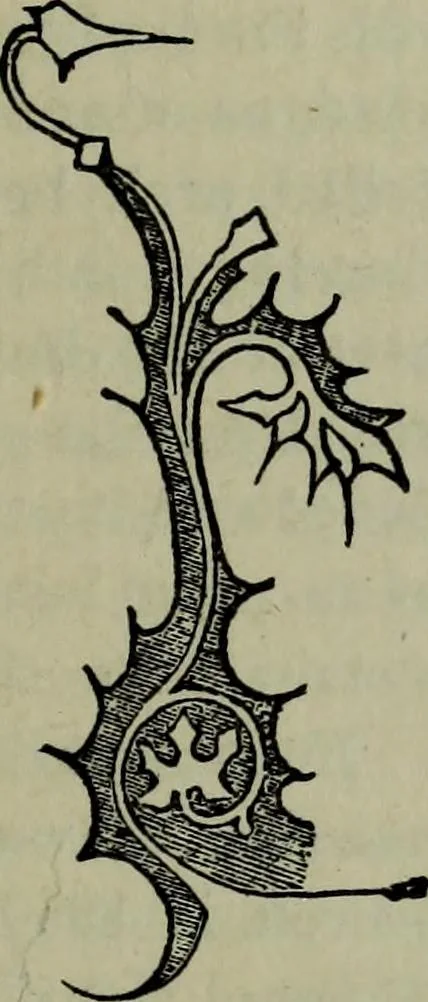 An illustration from The stones of Venice : [With appendices, additional notes, and "Venetian index."], 1894, leaf 246