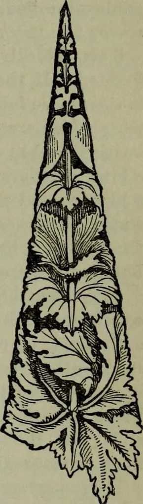 An illustration from The stones of Venice : [With appendices, additional notes, and "Venetian index."], 1894, leaf 256