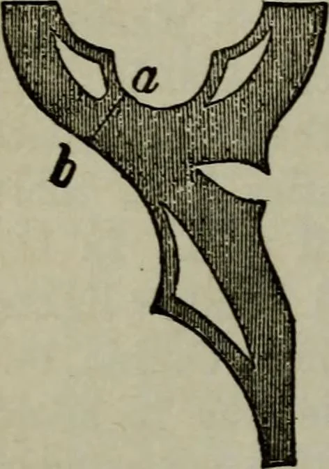 An illustration from The stones of Venice : [With appendices, additional notes, and "Venetian index."], 1894, leaf 263