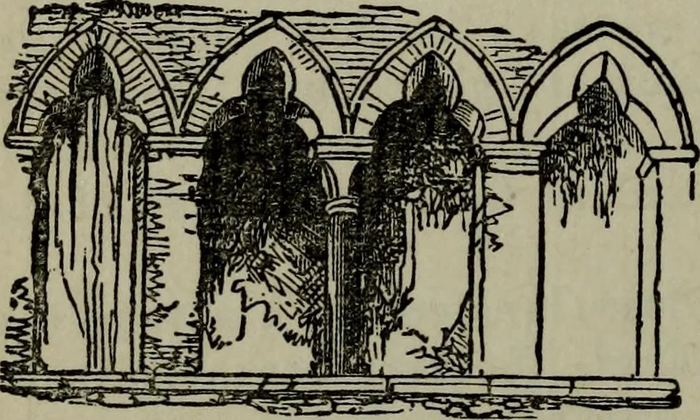 An illustration from The stones of Venice : [With appendices, additional notes, and "Venetian index."], 1894, leaf 295