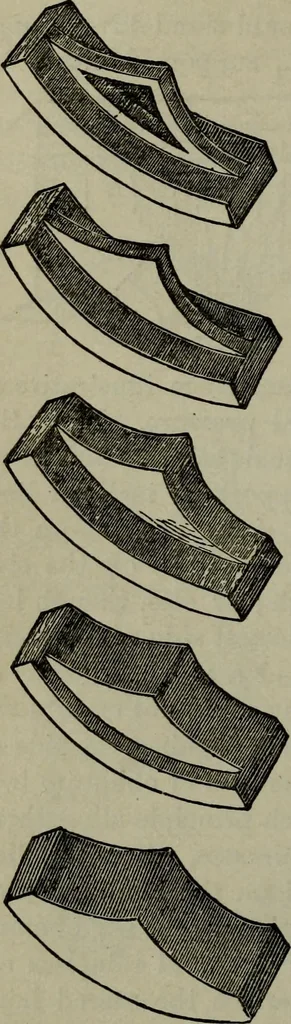 An illustration from The stones of Venice : [With appendices, additional notes, and "Venetian index."], 1894, leaf 285
