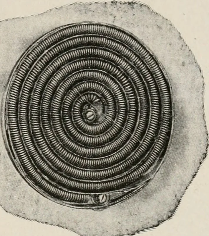 An illustration from Cold storage, heating and ventilating on board ship, 1911, leaf 194