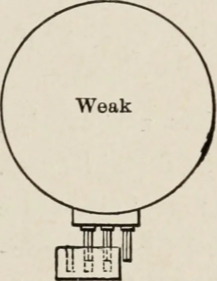 An illustration from Cold storage, heating and ventilating on board ship, 1911, leaf 208