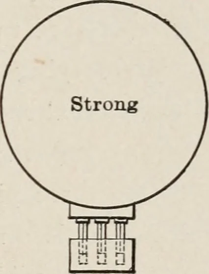 An illustration from Cold storage, heating and ventilating on board ship, 1911, leaf 208