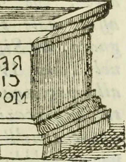 An illustration from Storia antiquaria etrusca : del principio e de' progressi fatti finora nello studio sopra l'antichità etrusche scritte e figurate : divisa in due parti, colla difesa dell' alfabeto degli antichi Toscani pubblicato nel MDCCXXXVIII dall' autore del Museo etrusco [i.e. Scipione Maffei] : col XII tavole e figure, 1749, leaf 110