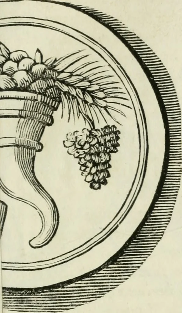 An illustration from Storia antiquaria etrusca : del principio e de' progressi fatti finora nello studio sopra l'antichità etrusche scritte e figurate : divisa in due parti, colla difesa dell' alfabeto degli antichi Toscani pubblicato nel MDCCXXXVIII dall' autore del Museo etrusco [i.e. Scipione Maffei] : col XII tavole e figure, 1749, leaf 140