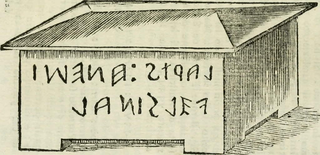 An illustration from Storia antiquaria etrusca : del principio e de' progressi fatti finora nello studio sopra l'antichità etrusche scritte e figurate : divisa in due parti, colla difesa dell' alfabeto degli antichi Toscani pubblicato nel MDCCXXXVIII dall' autore del Museo etrusco [i.e. Scipione Maffei] : col XII tavole e figure, 1749, leaf 402