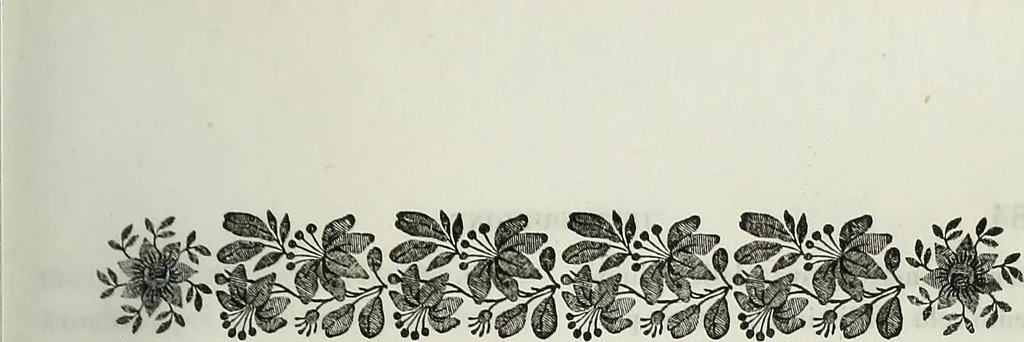 An illustration from Storia dei monumenti del reame delle Due Sicilie, 1846, leaf 212