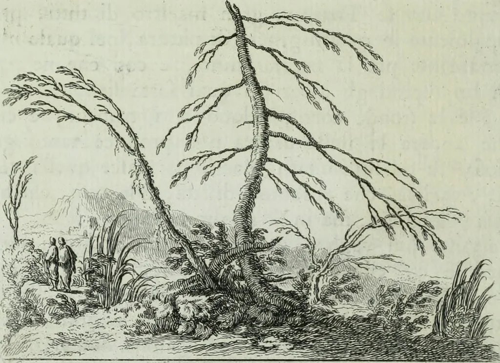 An illustration from Storia dell' Accademia clementina di Bologna, aggregata all'Instituto delle scienze e dell'arti, 1739, leaf 197