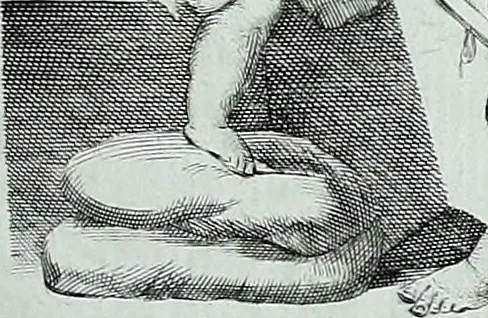 An illustration from Storia dell' Accademia clementina di Bologna, aggregata all'Instituto delle scienze e dell'arti, 1739, leaf 250