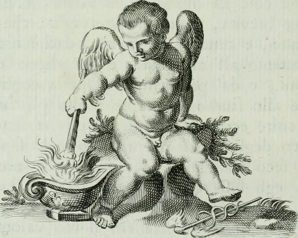 An illustration from Storia dell' Accademia clementina di Bologna, aggregata all'Instituto delle scienze e dell'arti, 1739, leaf 297