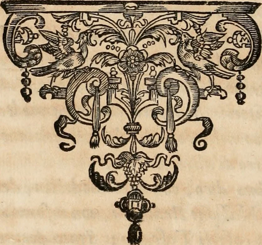 An illustration from Storia della citta' di Montepulciano di Spinello del cap.no, 1641, leaf 25