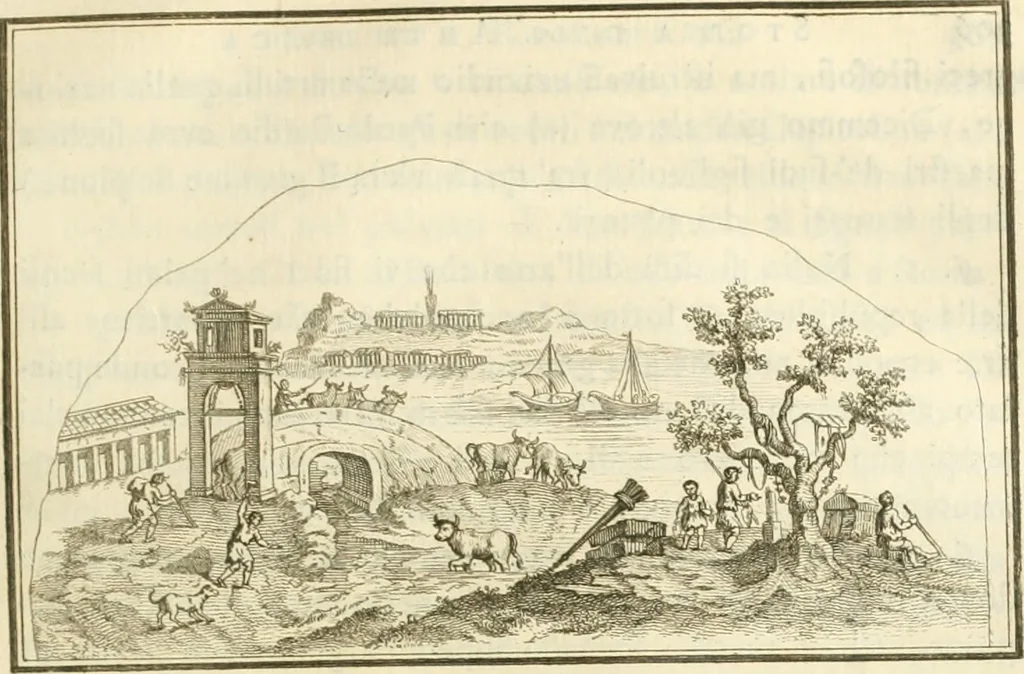 An illustration from Storia delle arti del disegno presso gli antichi, 1783, leaf 310