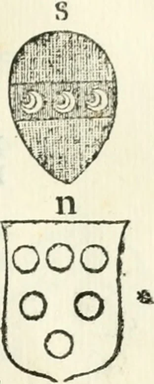 An illustration from Storia delle monete della repubblica Fiorentina, 1760, leaf 242