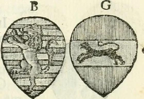 An illustration from Storia delle monete della repubblica Fiorentina, 1760, leaf 362