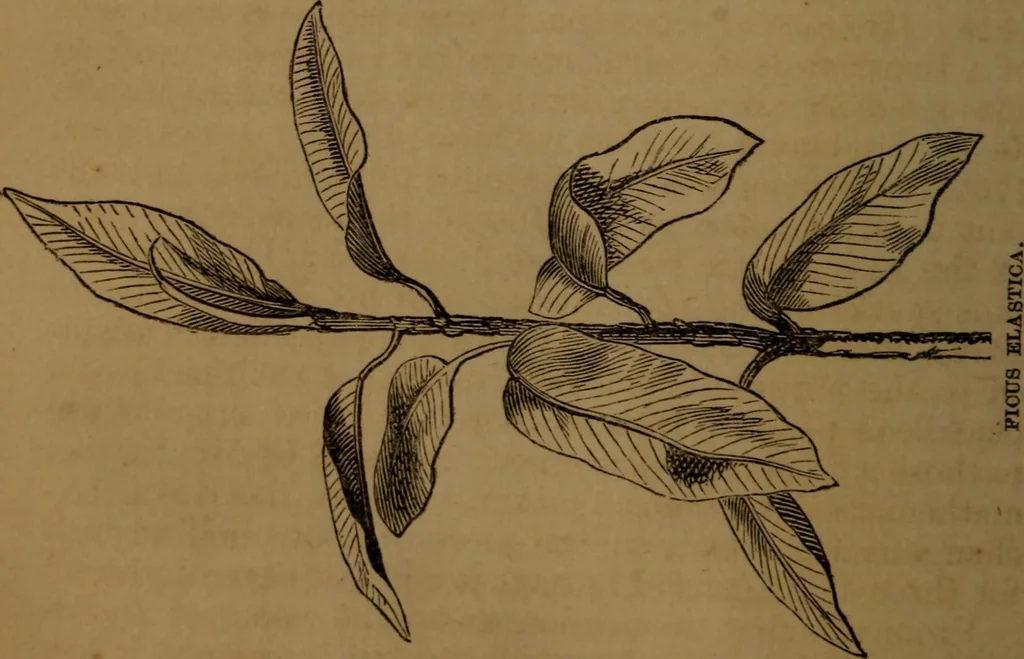 An illustration from Stories of inventors and discoverers in science and the useful arts. A book for old and young, 1860, leaf 451