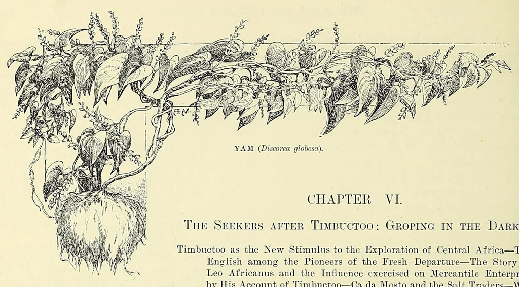 An illustration from The story of Africa and its explorers, 1892, leaf 140