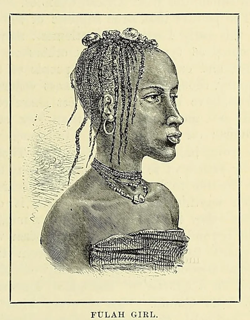 An illustration from The story of Africa and its explorers, 1892, leaf 175