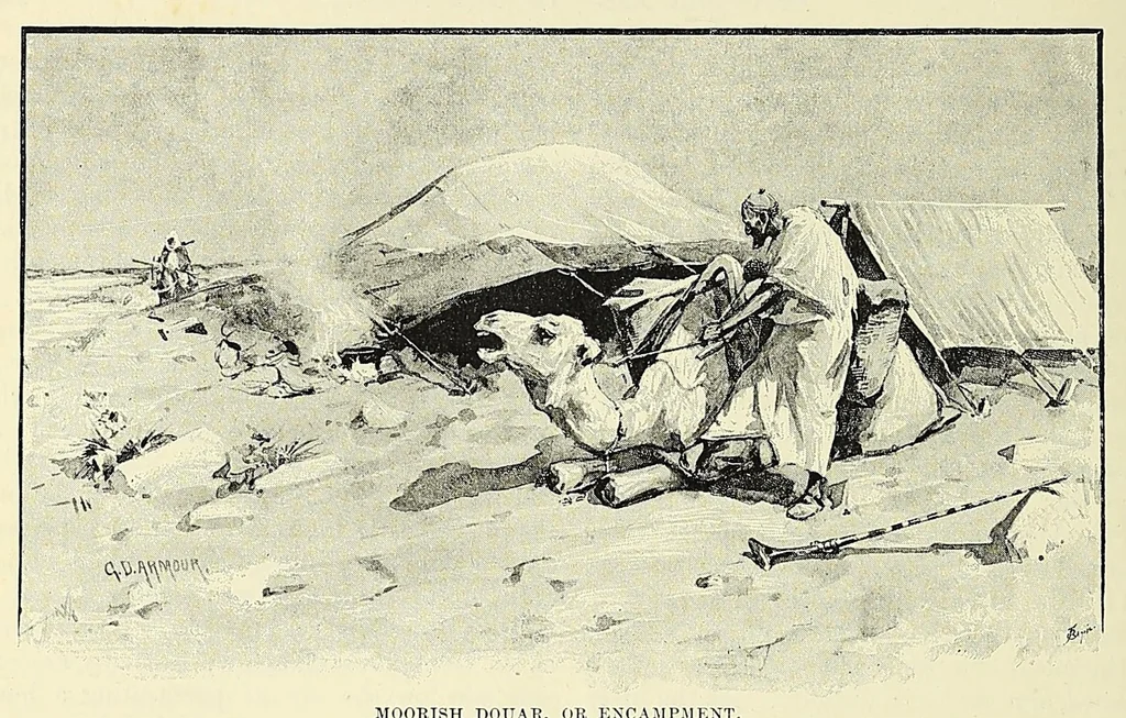 An illustration from The story of Africa and its explorers, 1892, leaf 216