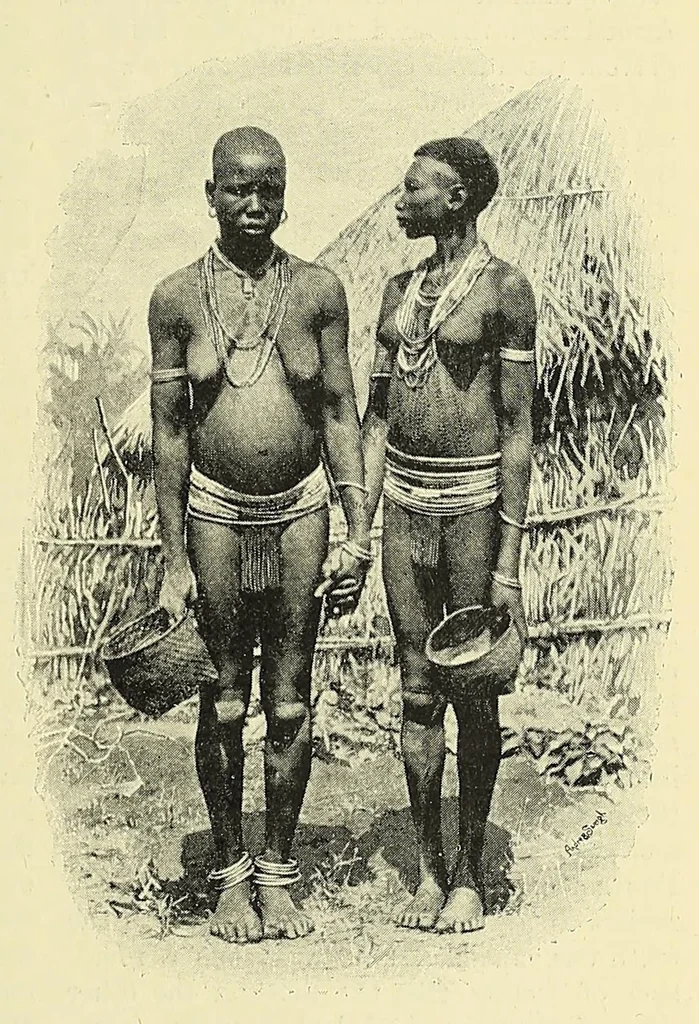 An illustration from The story of Africa and its explorers, 1892, leaf 151